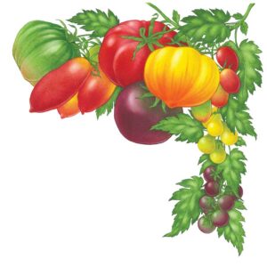 All About Growing Tomatoes Image